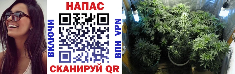 Какие есть наркотики Липецк Гашиш  Каннабис  АМФ  МЕФ  КОКАИН  A PVP 