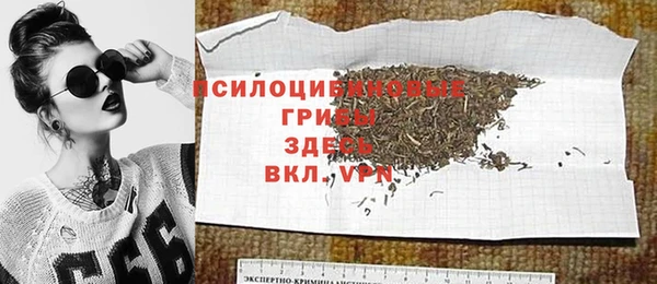 ПСИЛОЦИБИНОВЫЕ ГРИБЫ Семёнов