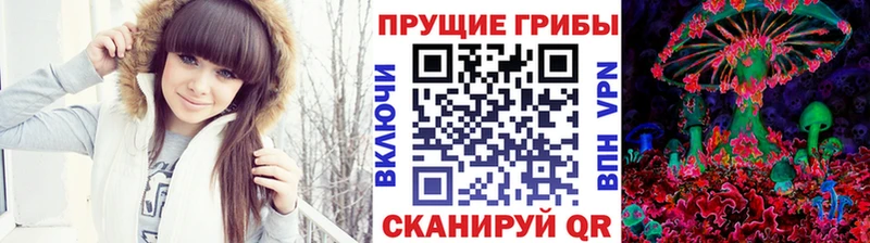 Галлюциногенные грибы Magic Shrooms  Липецк 