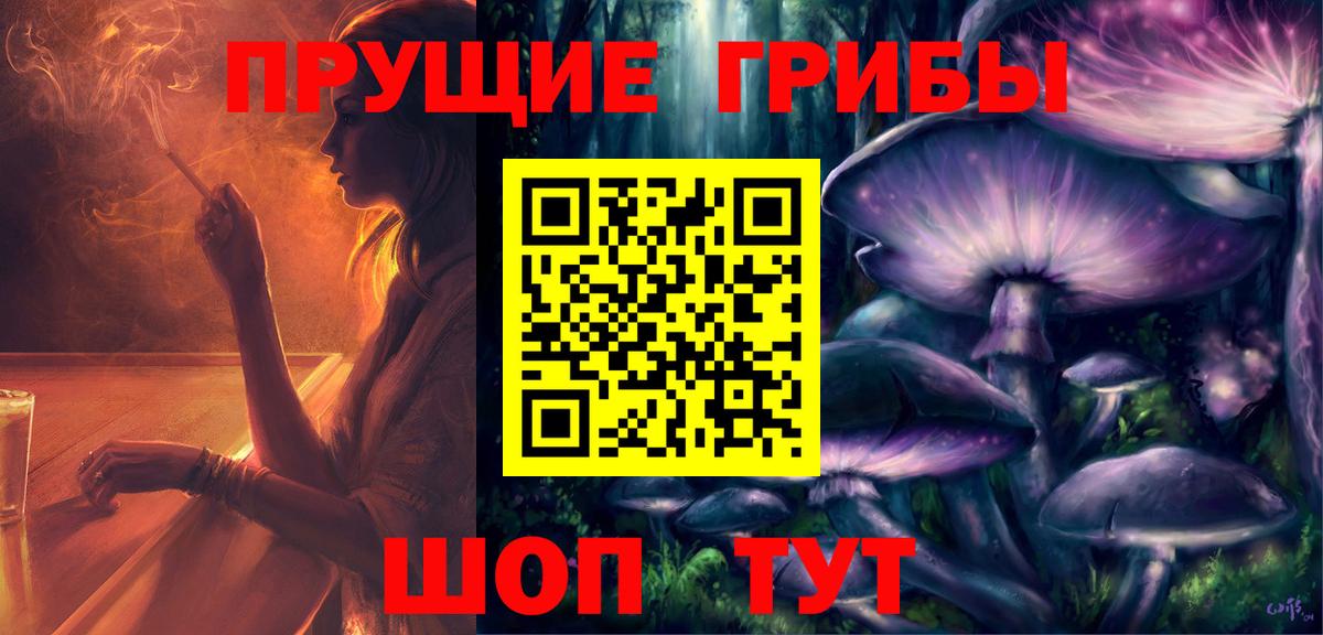 Галлюциногенные грибы Psilocybe Липецк